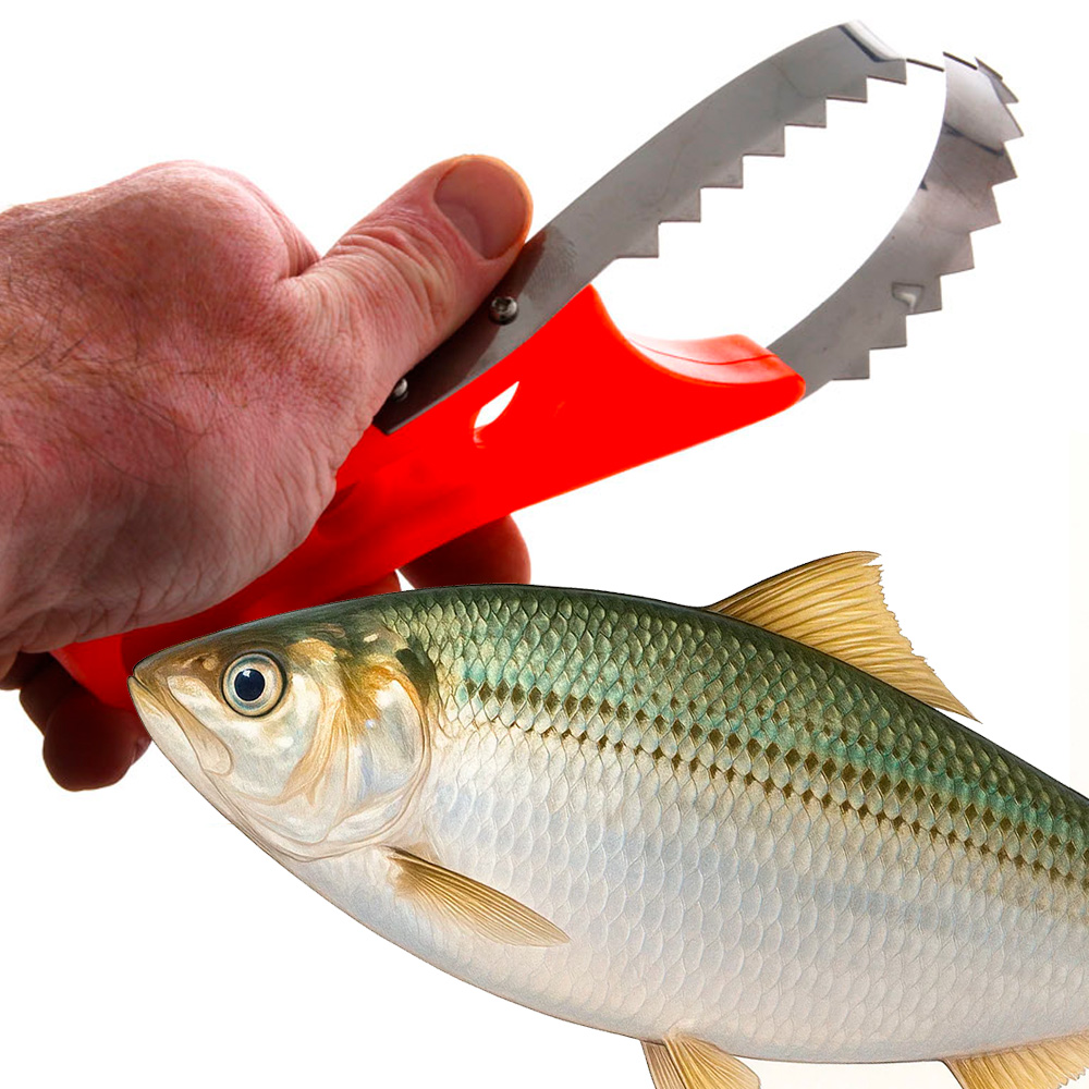 Descamador para Pescado mod. 42248 - Imagen 2